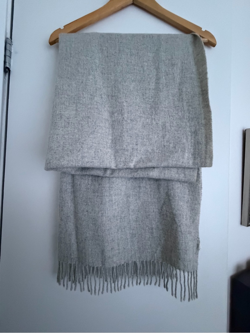 Light Gray Women's Scarf